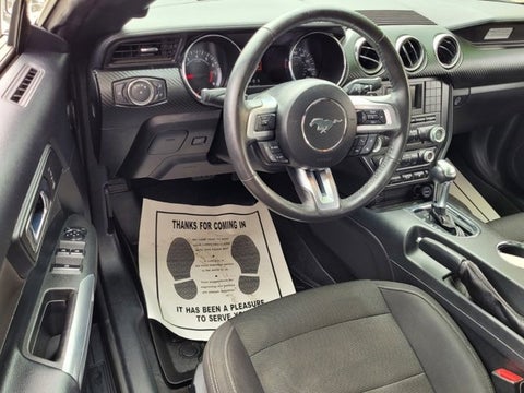 2016 Ford Mustang V6 in Jacksonville, FL - Beach Blvd Automotive